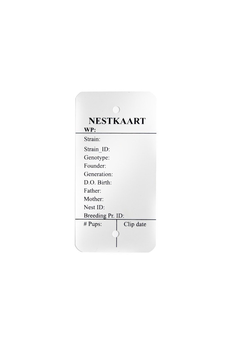 Afwijkende maten-Plastic-Metalen-Vlaggenfolie labels bedrukt-334